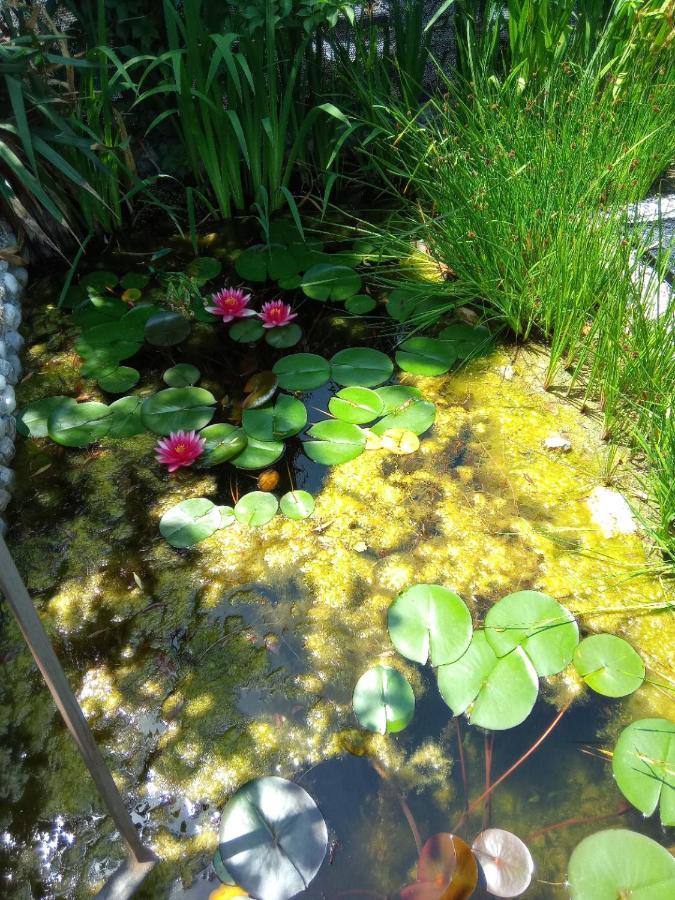 Villa Fiorita Monfalcone Eksteriør billede