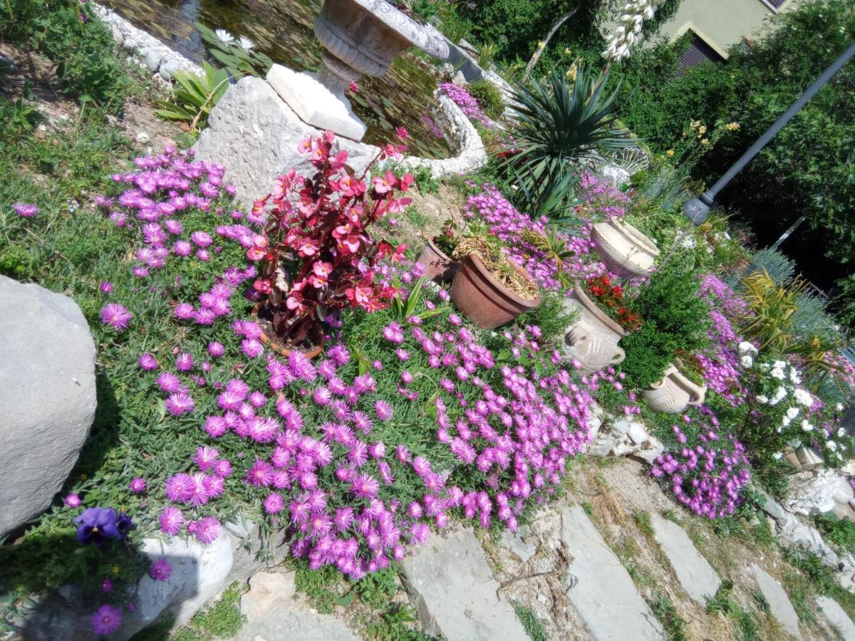 Villa Fiorita Monfalcone Eksteriør billede