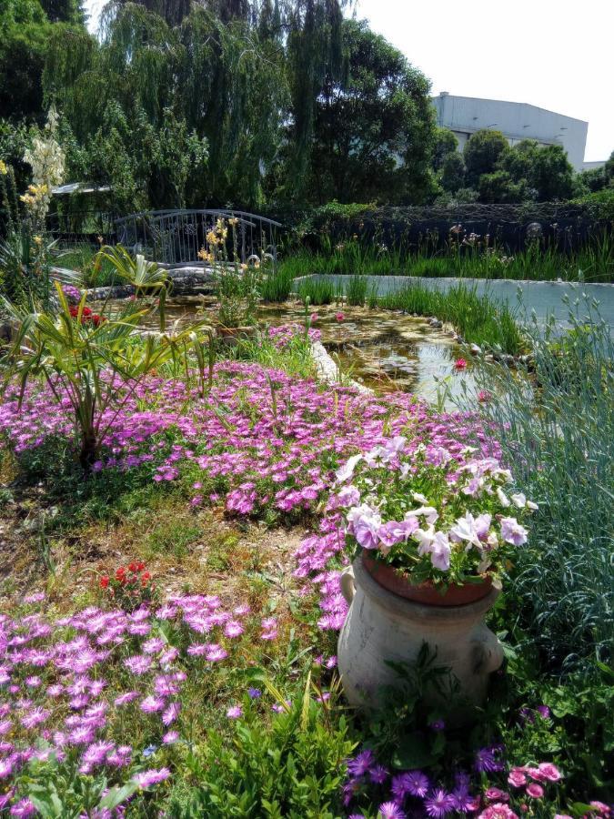Villa Fiorita Monfalcone Eksteriør billede
