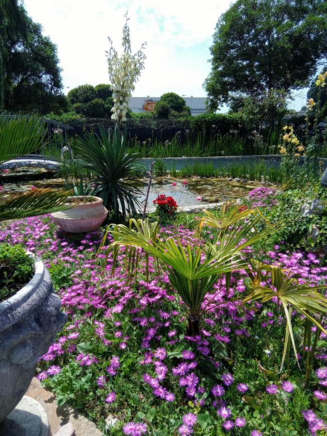 Villa Fiorita Monfalcone Eksteriør billede
