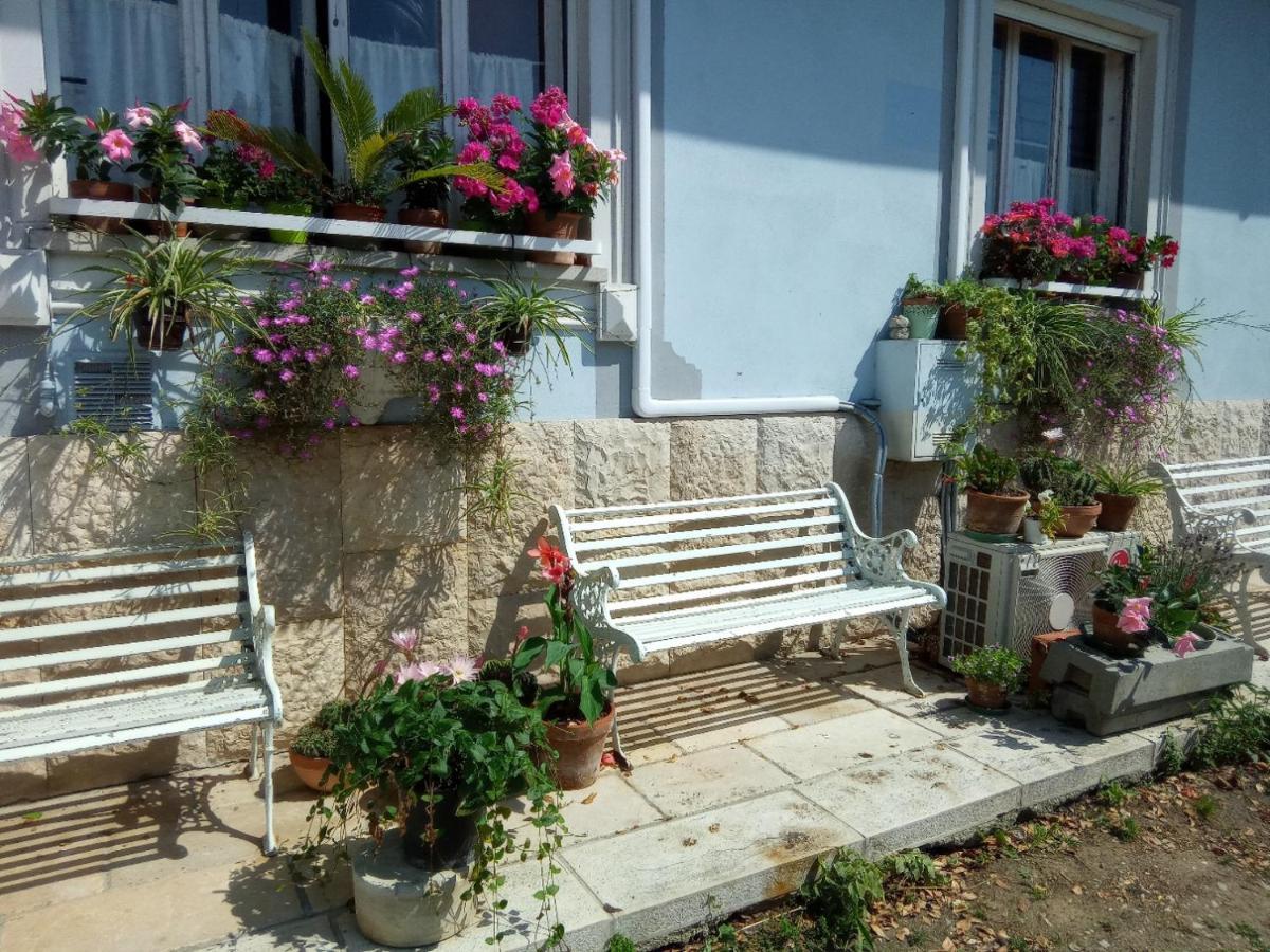 Villa Fiorita Monfalcone Eksteriør billede