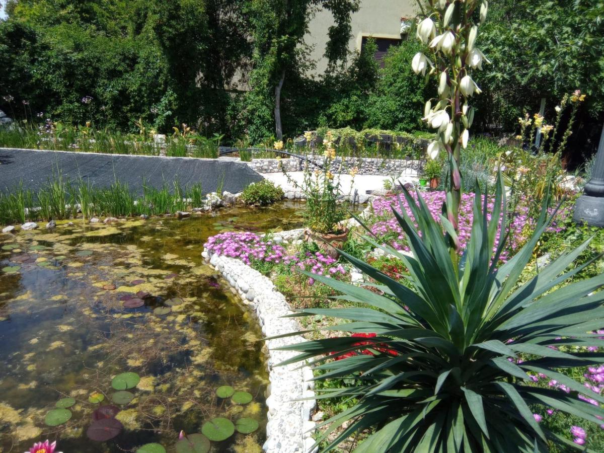 Villa Fiorita Monfalcone Eksteriør billede