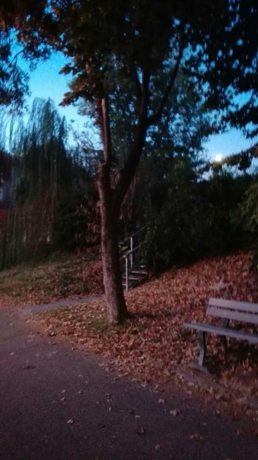 Villa Fiorita Monfalcone Eksteriør billede